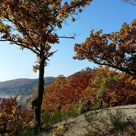 Belvedere - Das Bio Hotel Garni & Suitehotel Am Edersee ! Unser Geschenk Fuer Sie, Auch Die Gaestecard Grimmheimat! Валдек Екстериор снимка